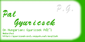 pal gyuricsek business card